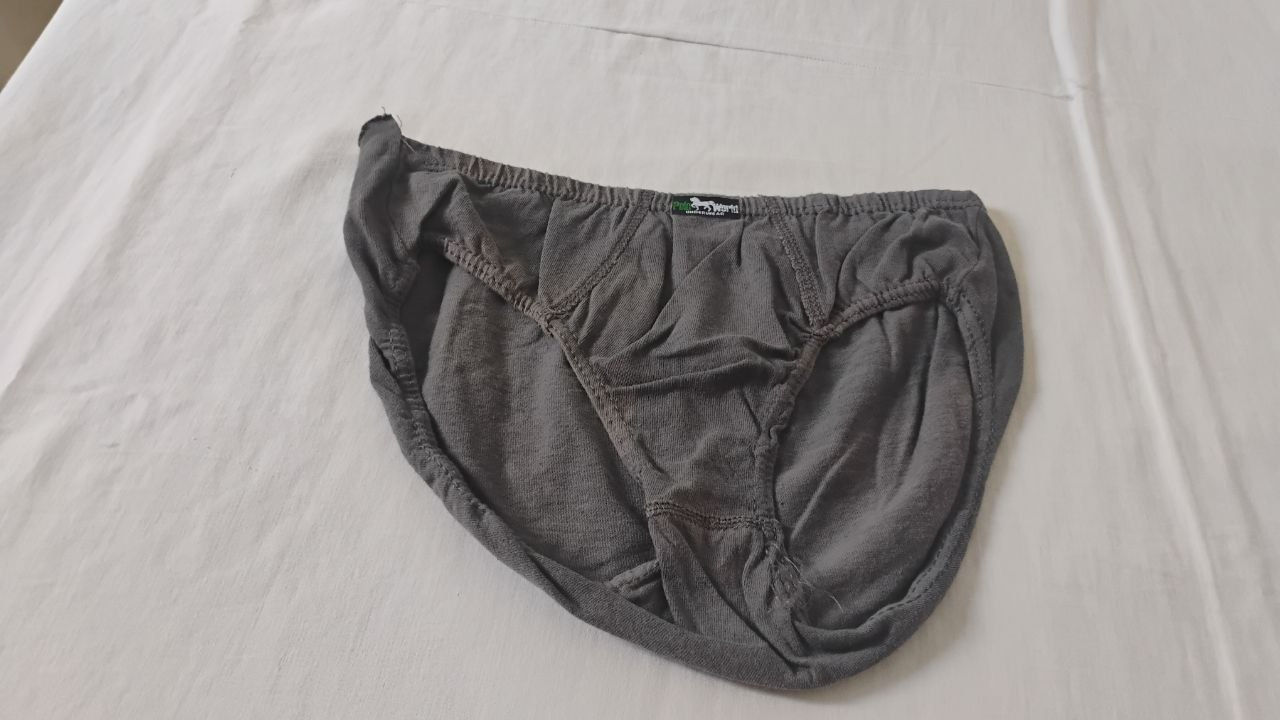Cueca Slip Cinza P Mangalarga