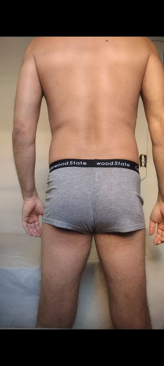Cueca Sungão Cinza M Cedarwood State