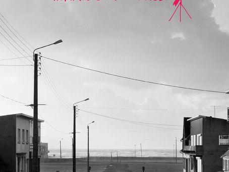 Basilico. L’infinito è là in fondo