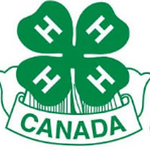 Two Hills 4-H Beef/Multi Club