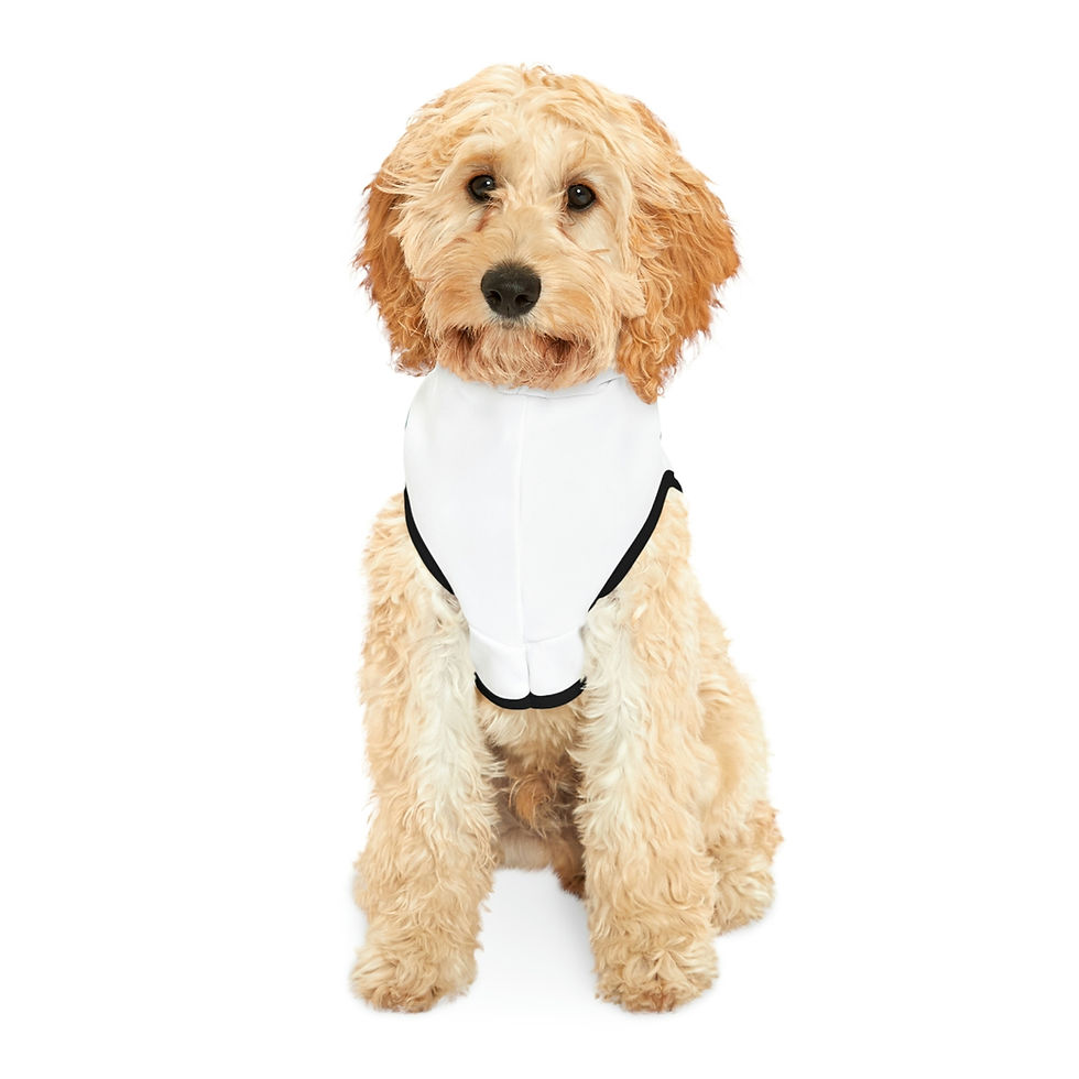 Thumbnail: Evzone Dog Hoodie