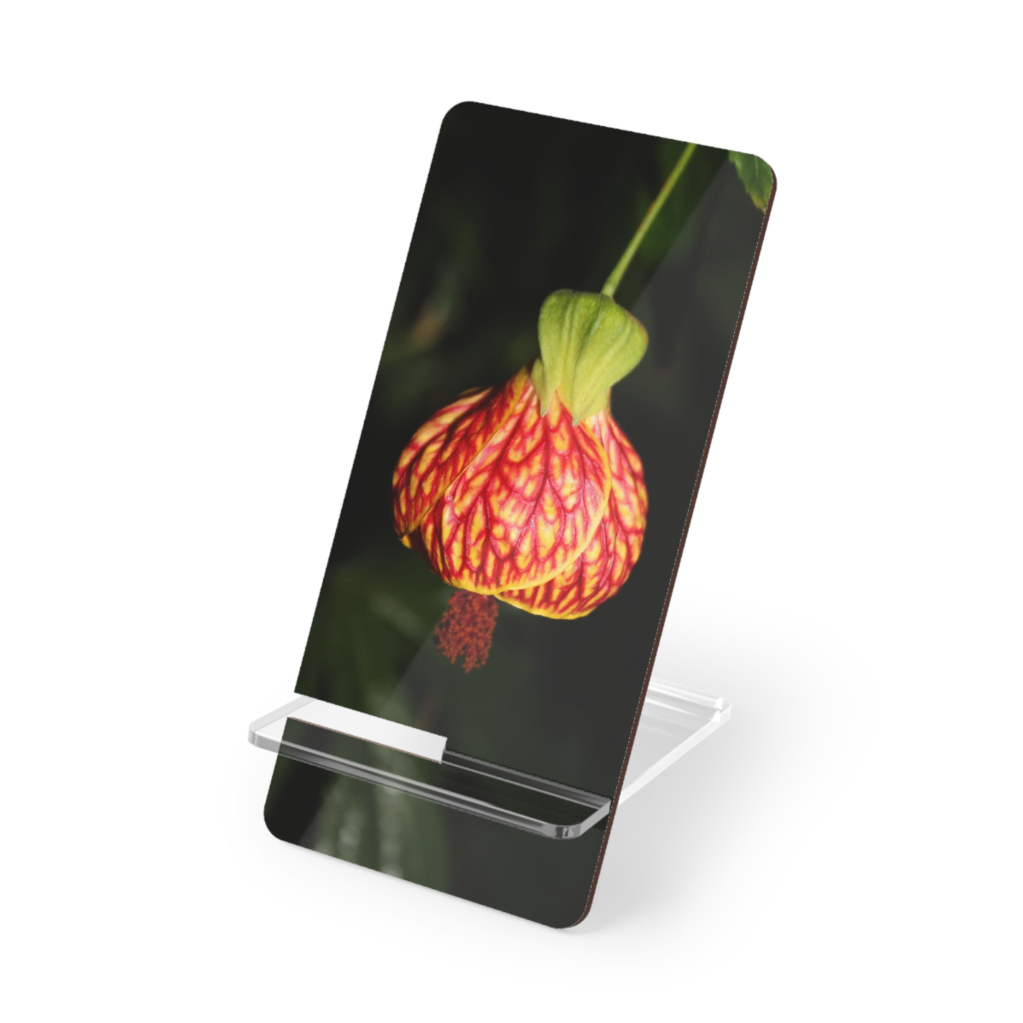 Abutilon Mobile Display Stand for Smartphones