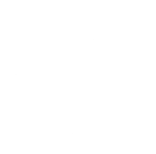removes toxins icon