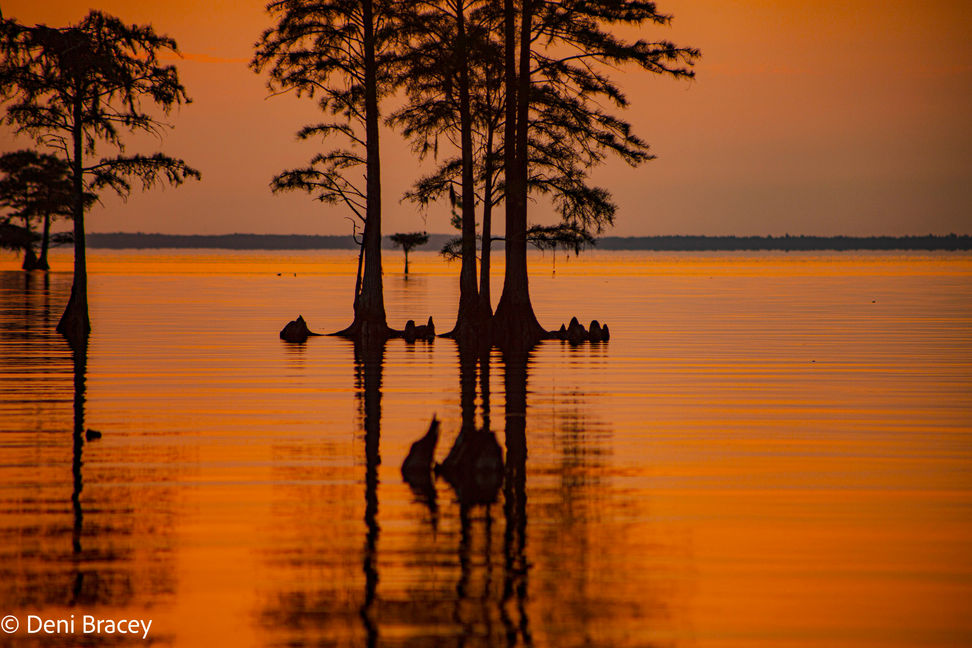 hatchery (14 of 45)