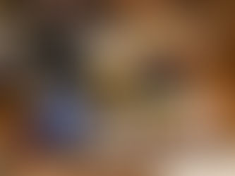 松山!琴平!出会いづくしの日帰り旅🥳