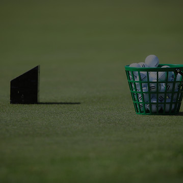 Group enjoying golf simulator rental at a private event
