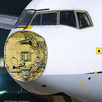 Ana 704a.JPG