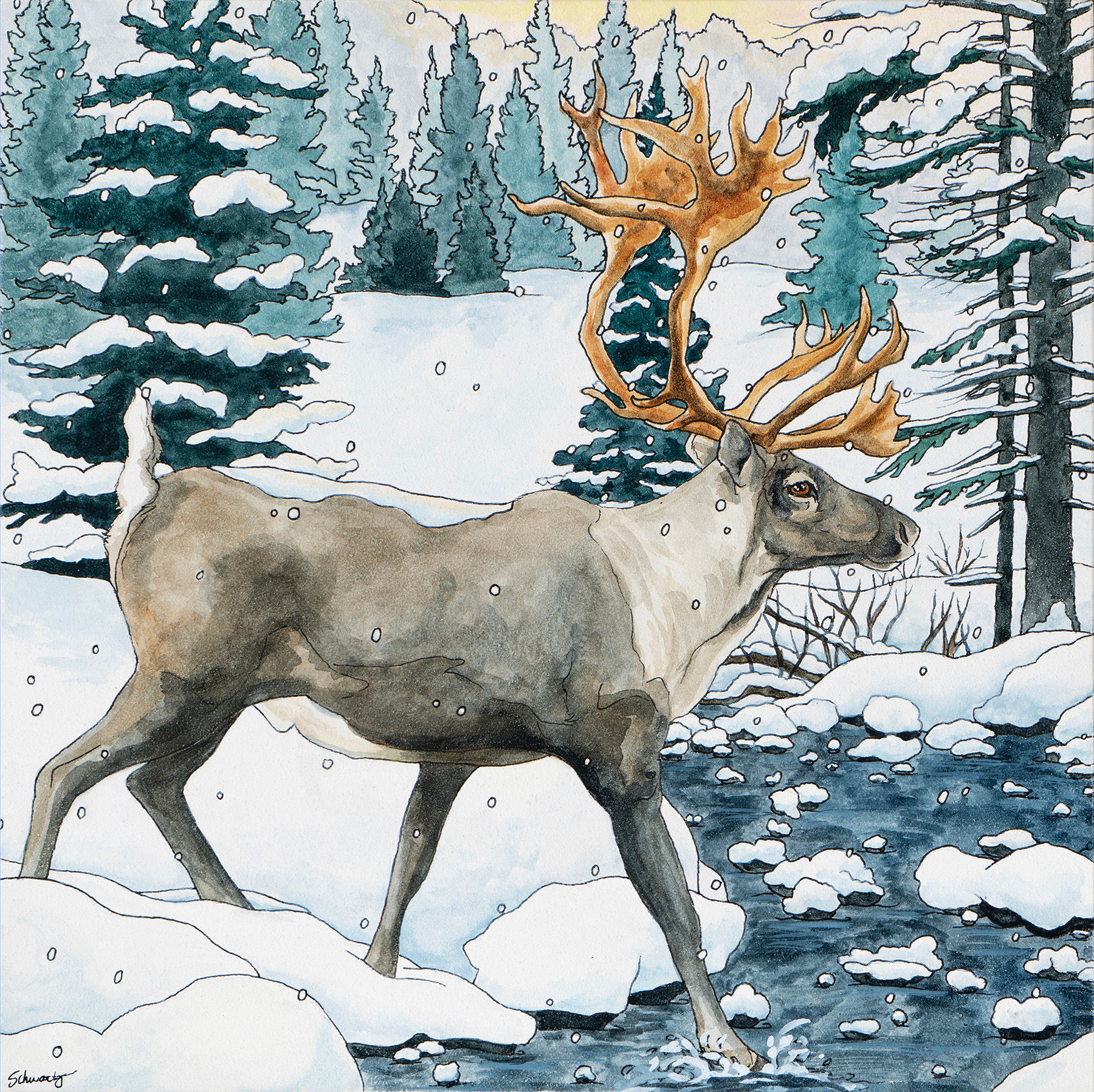 A Wintry Walk