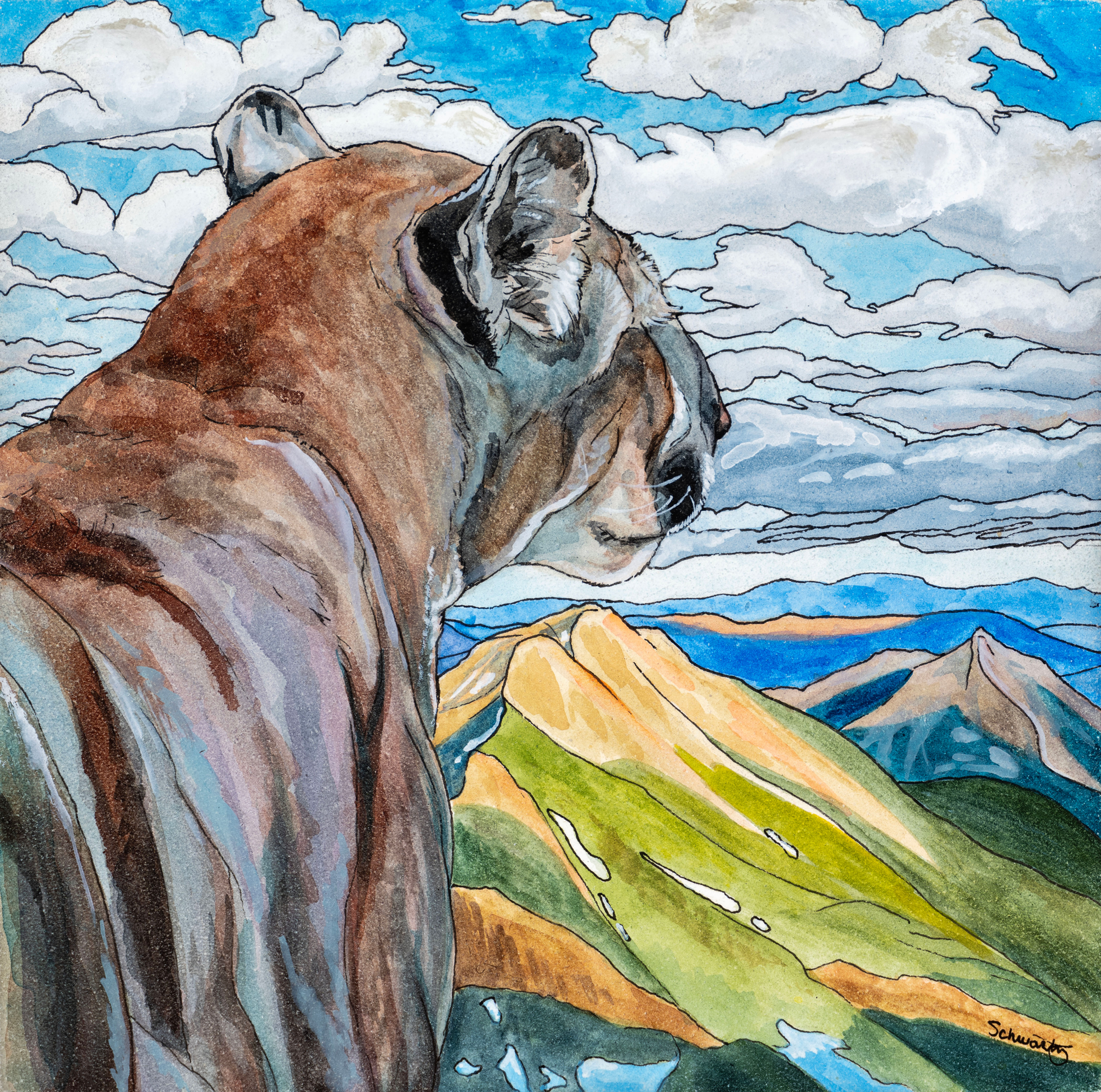 The Lookout