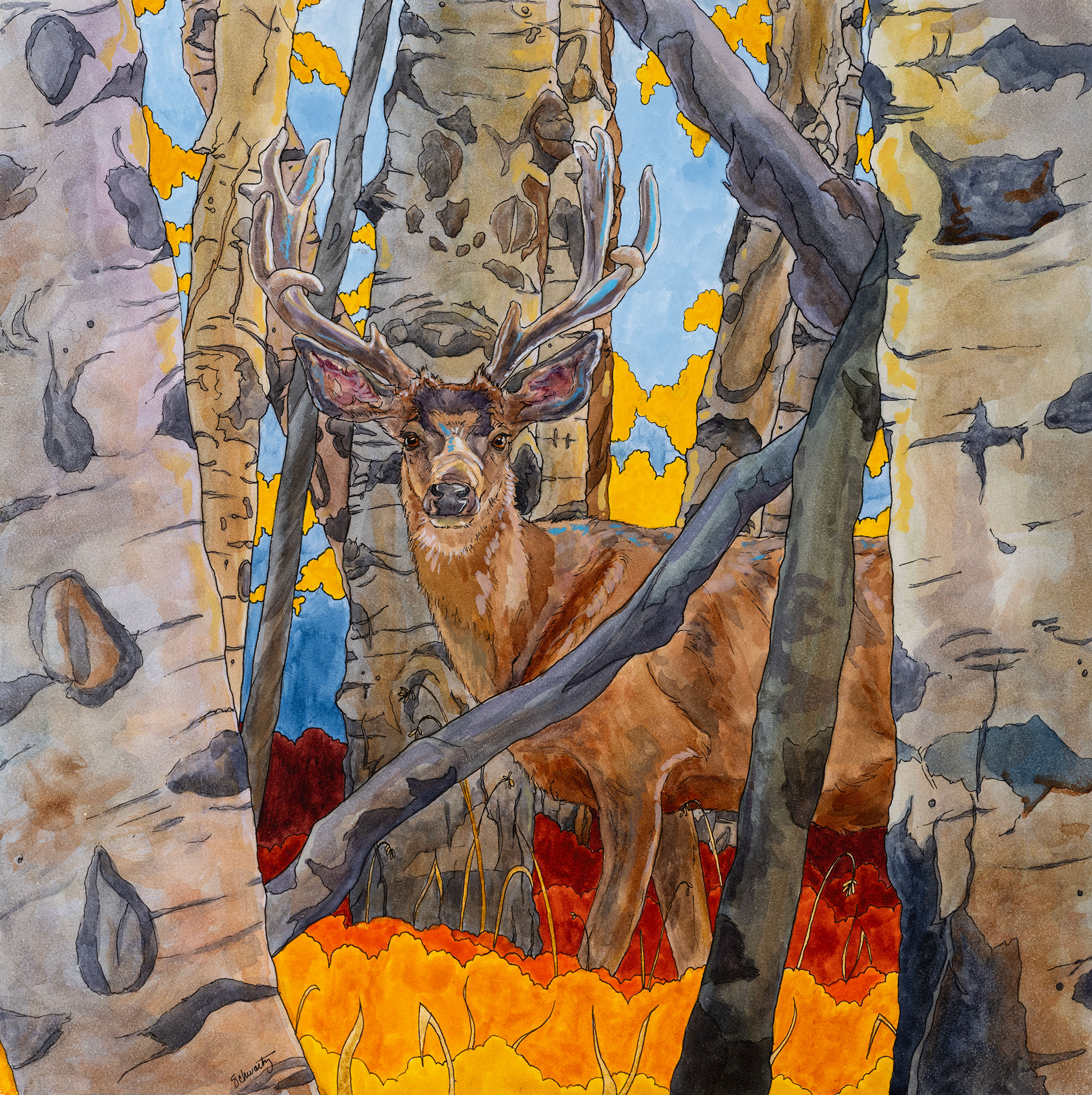 Among the Aspen