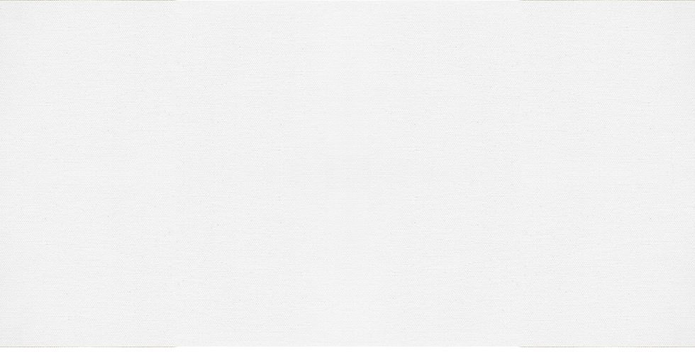 TheHAUS_Canvas02.png