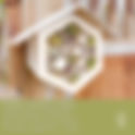 Summer Creation Camp - Bee Houses