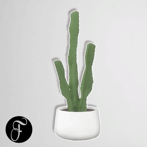 Miniatuur_Cactus