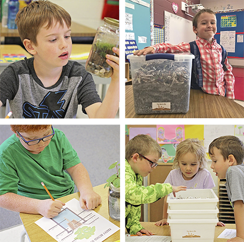 A couple of images of student doing environmental education.