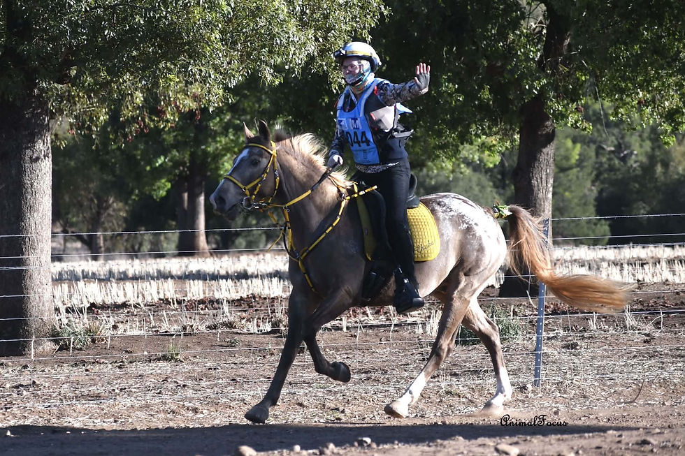 Putty Valley Endurance Ride