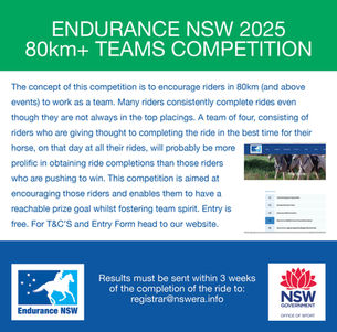 2025 NSW Teams Event