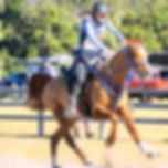 Matar Bullio Cup 20km, 40km, 80km and 110-140-160km AERA Elevator and FEI 1*, 2*, 3*