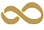 Infinity Icon