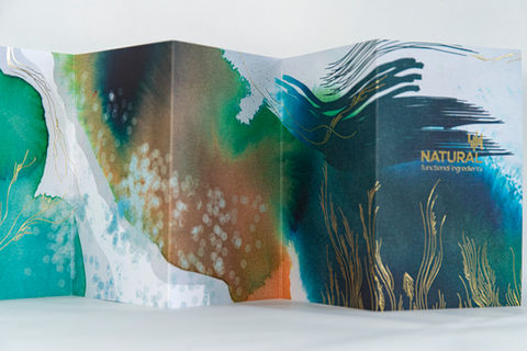 dépliant bleu, vert marron, orange et or avec illustrations végétales de tiges souples et de feuilles