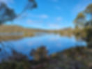 20211101_180621_edited.jpg