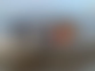 春のアオリイカ釣り大会