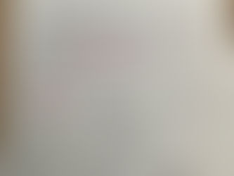 アオリイカ禁漁期間について