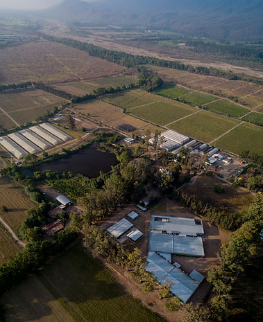 CANNAVA_DJI_0034-Panorámica (3).JPG