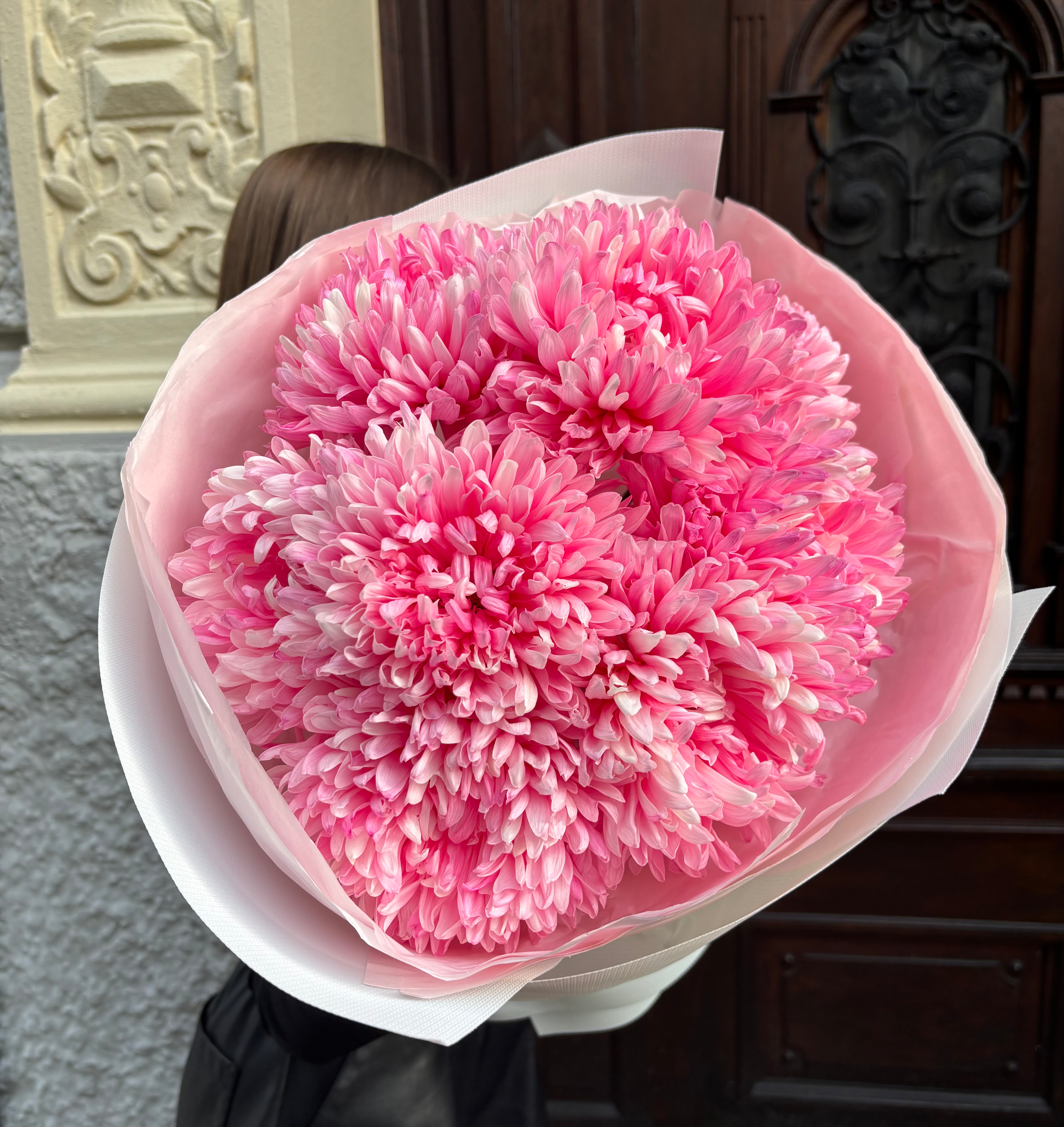 Chrysanthemen