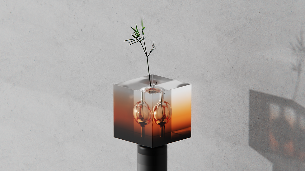 SOUVENIR gift package design by BDCI design