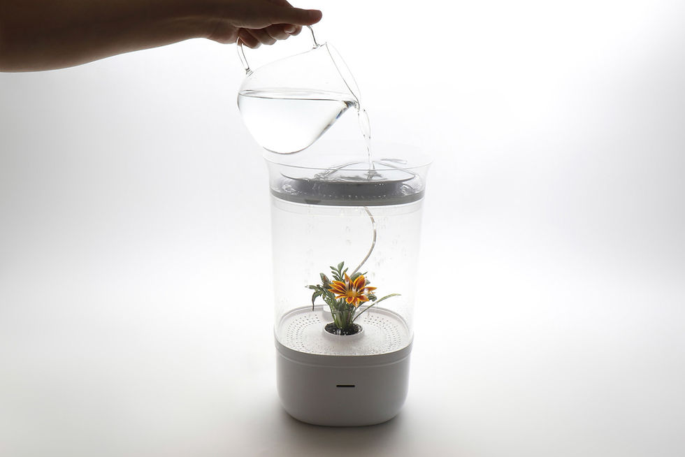smart planter design by BDCI studio