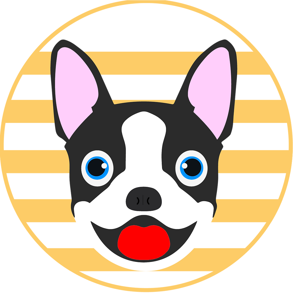 Boston coin logo