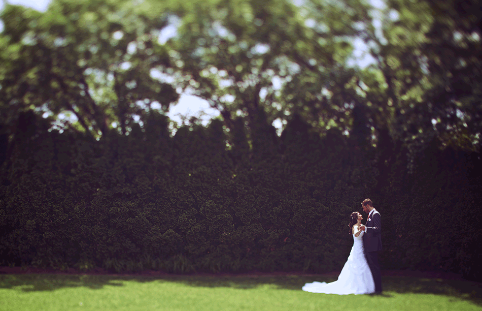 wedding.gif