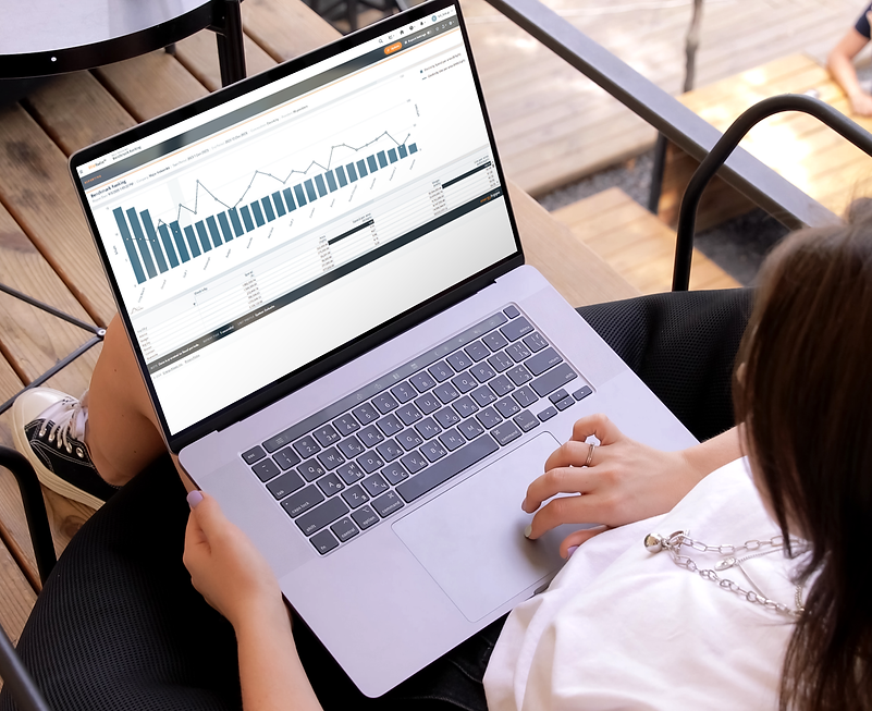 Person on computer using EEM Benchmarking Univerus Energy Intelligence