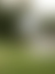 Consistency at Scale: What Recreation Facilities Can Learn from the Masters