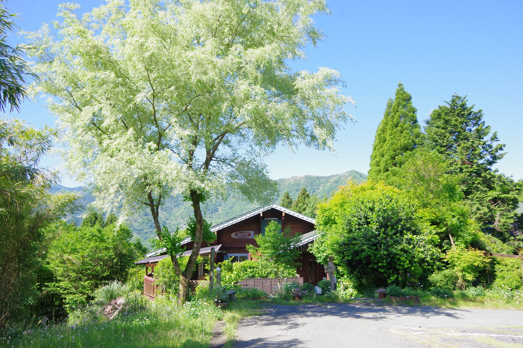 STORYの写真(熊本県南阿蘇村)