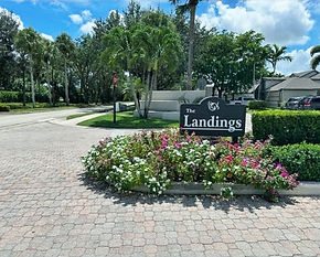 Landings_edited.jpg