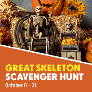 Great Skeleton Scavenger Hunt