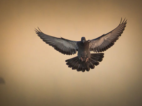 1 Corinthians 2:5-16