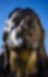 AdobeStock_193390445.jpeg