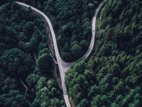 1 Corinthians 7:8-40