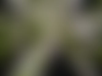 Romans 8:28-39 (Part 2)