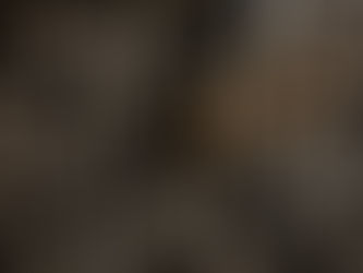 1 Corinthians 15:1-11