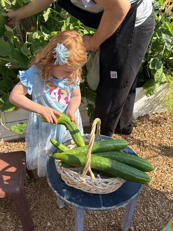 Harvest from our garden (2).jpg