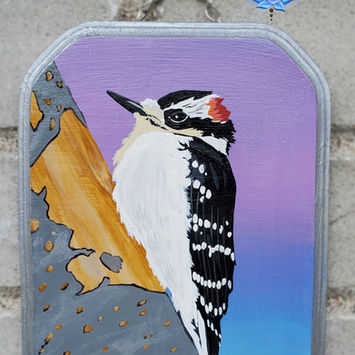 Woodpecker.jpg