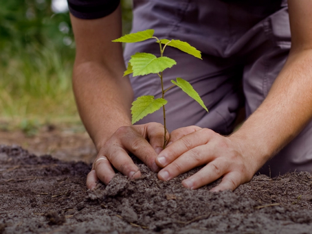 Sus acciones no solucionarán el cambio climático, pero ayudan