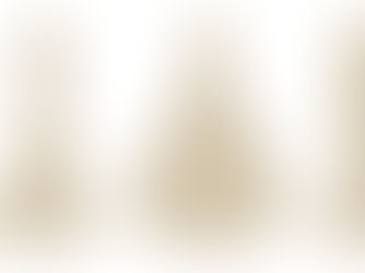 Finding Your Ideal Wedding Dress Silhouette at Eddy K Bridal