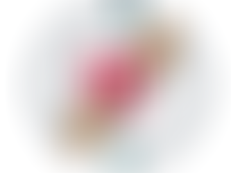 Marist Brothers Public Apology Update