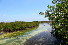 IMG_4291a.jpg