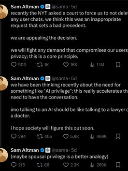 AI Privilege: Trust Without Accountability?