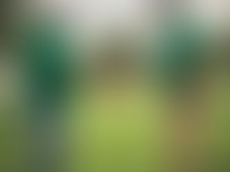 What to Look for When Buying a Lawn Care Business: Your Essential Guide